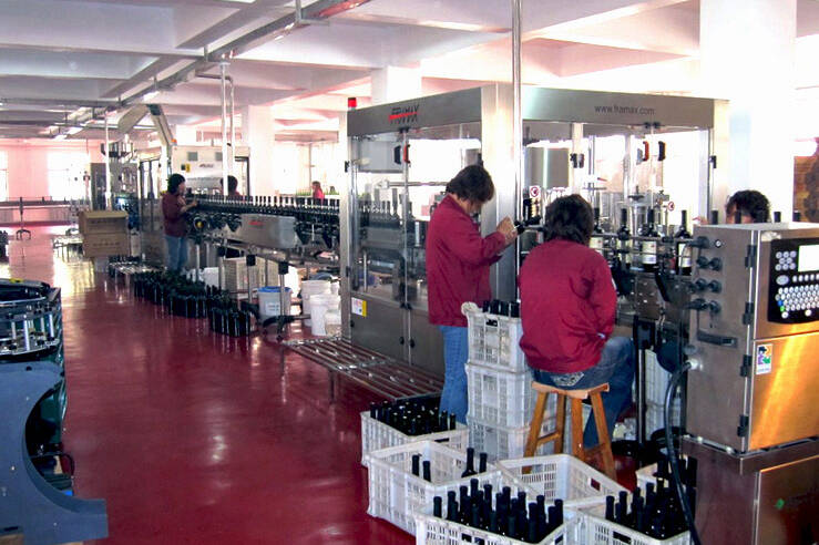 Wine Bottling Line - FRAMAX